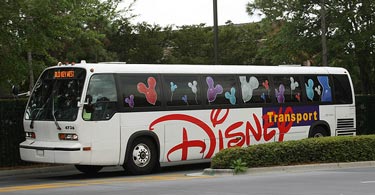 Disney Bus