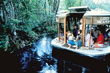 Silver Springs, Ocala