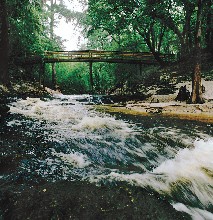 The Suwannee River